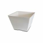 Plastic Pots