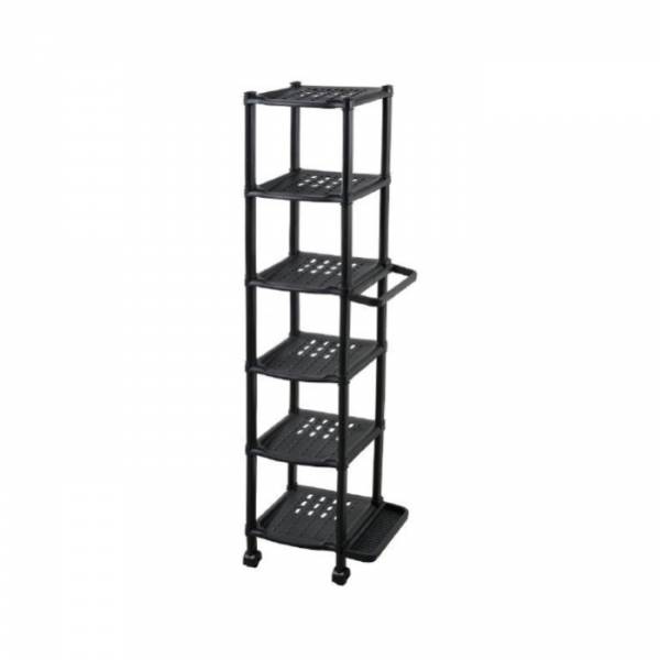 Organization