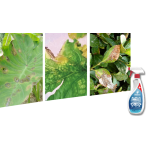 Fertilizers
