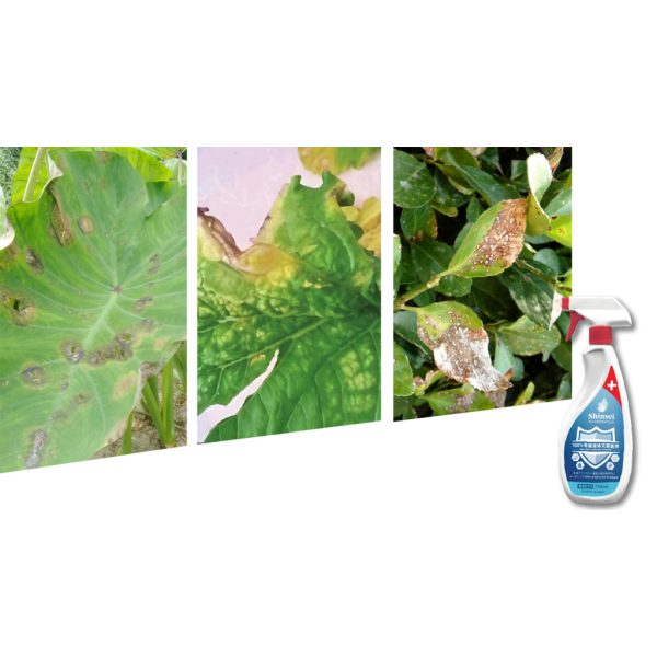 Fertilizers