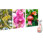 Fertilizers