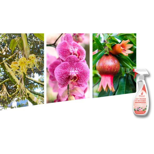 Fertilizers