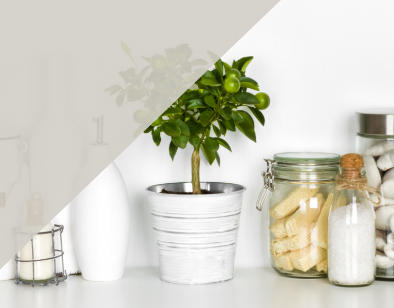 Household & Garden Supplies