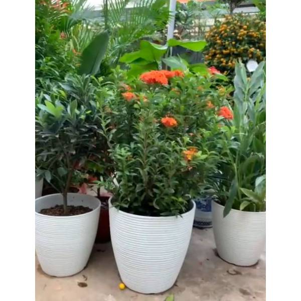 Gardening