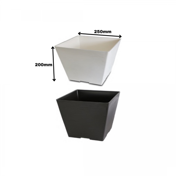 Plastic Pots
