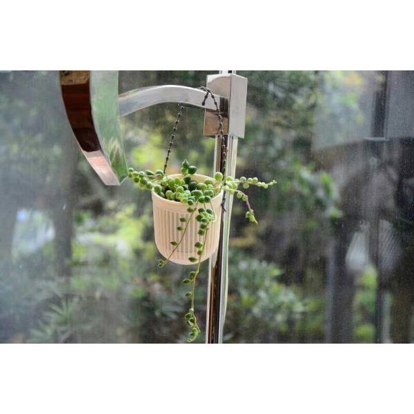Gardening