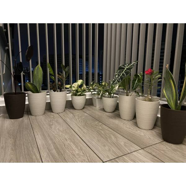 Plastic Pots