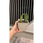 Plastic Pots