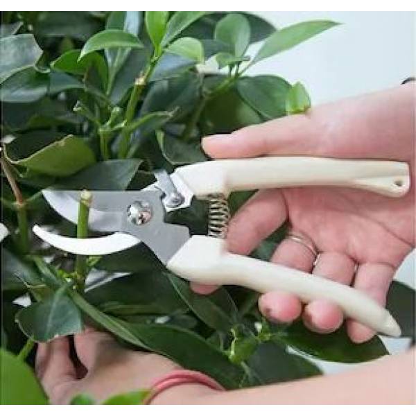 Garden Tools