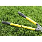 Gardening