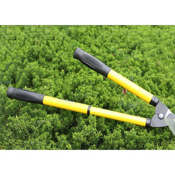 Gardening
