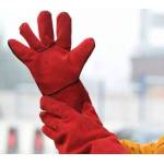 Safety Equipment